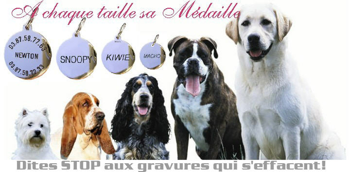 medaille_chien_traditionnelle